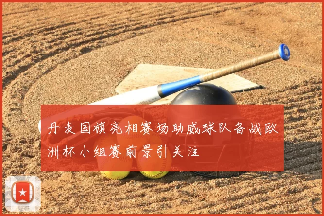 丹麦国旗亮相赛场助威球队备战欧洲杯小组赛前景引关注