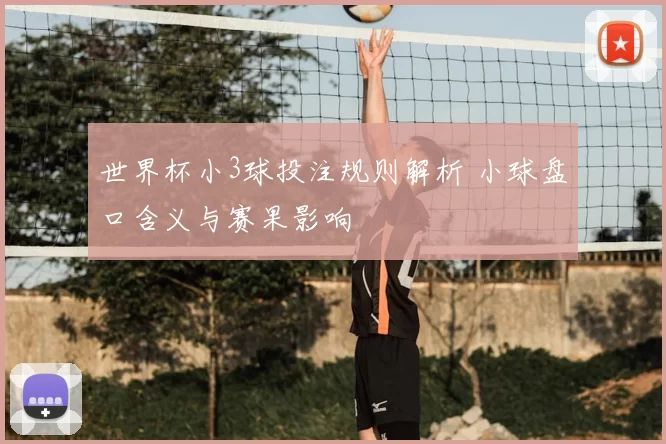 世界杯小3球投注规则解析 小球盘口含义与赛果影响