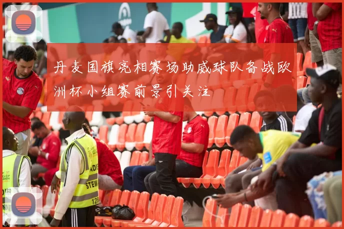 丹麦国旗亮相赛场助威球队备战欧洲杯小组赛前景引关注