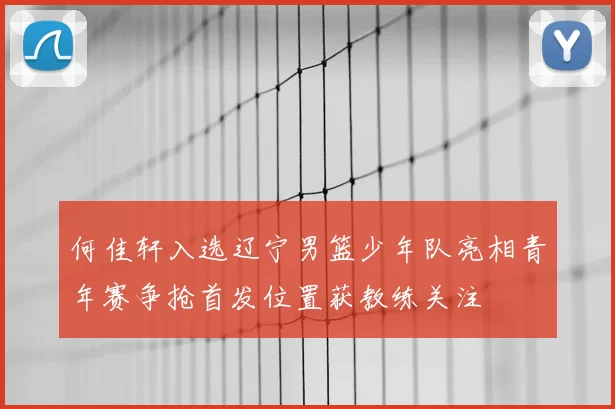 何佳轩入选辽宁男篮少年队亮相青年赛争抢首发位置获教练关注